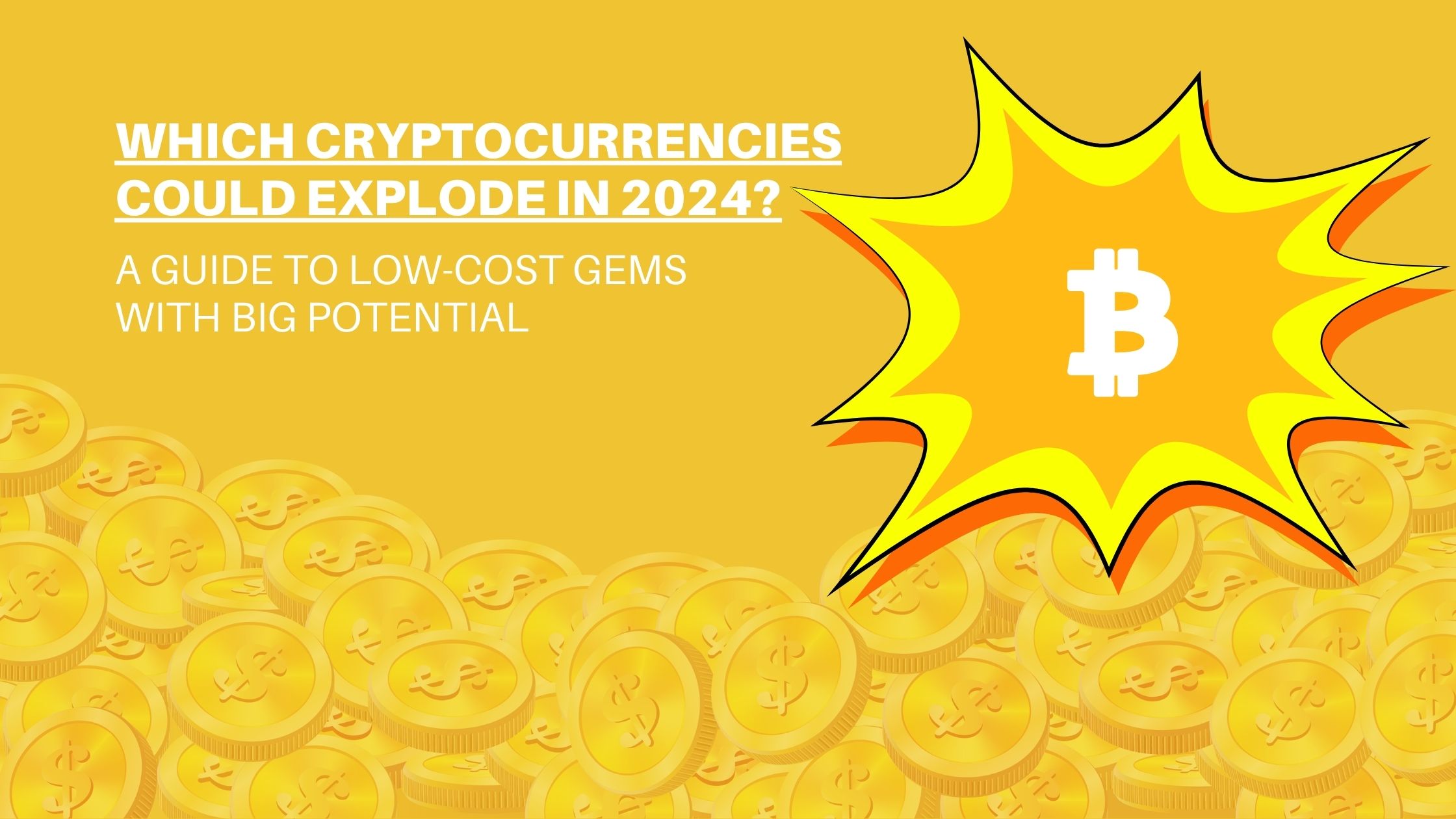 Which Cryptocurrencies Could Explode in 2024? A Guide to Low-Cost Gems with Big Potential